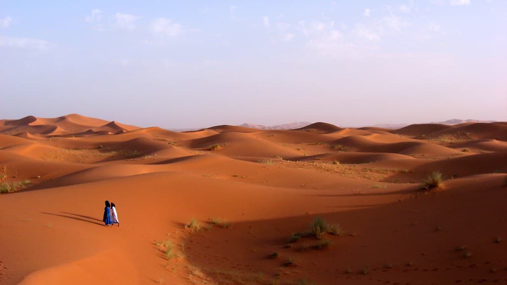Morning vs Evening Desert Safari: Which Is Right for You?
